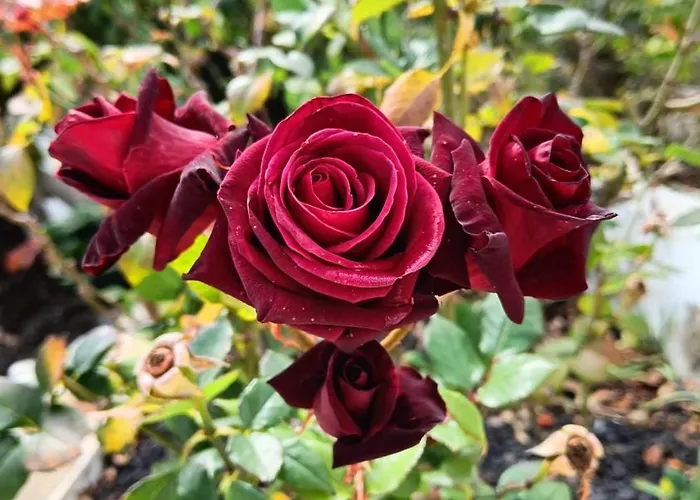 La Casona De Szálloda