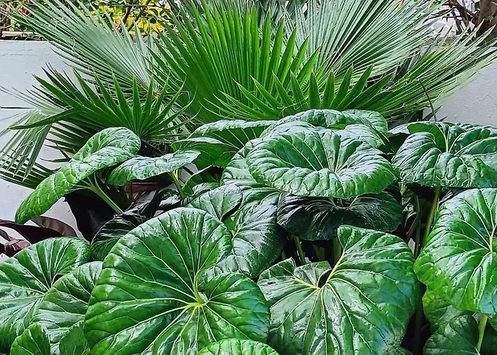 La Casona De Szálloda